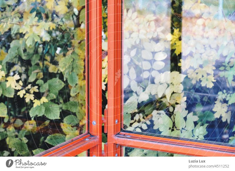 Bus stop in autumn, the already coloured leaves behind the windows, and sunshine. Autumn autumn colours Orange sunny foliage Light Light and shadow Bright