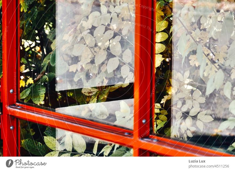 Bus stop in autumn, the already coloured leaves behind the windows, and sunshine. Autumn autumn colours Orange sunny foliage Light Light and shadow Bright