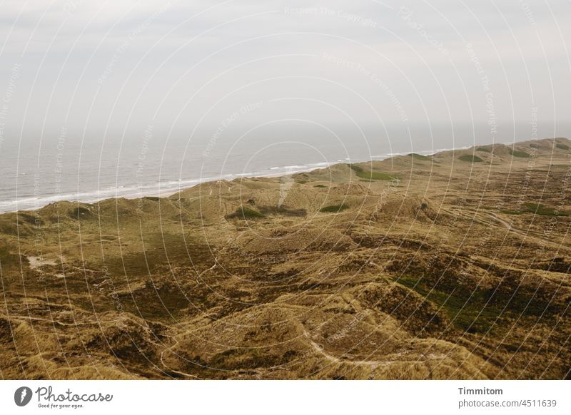 View from the lighthouse to the dunes and the North Sea outlook look down Far-off places paths Lanes & trails Marram grass Denmark Waves hazy Sky Clouds coast