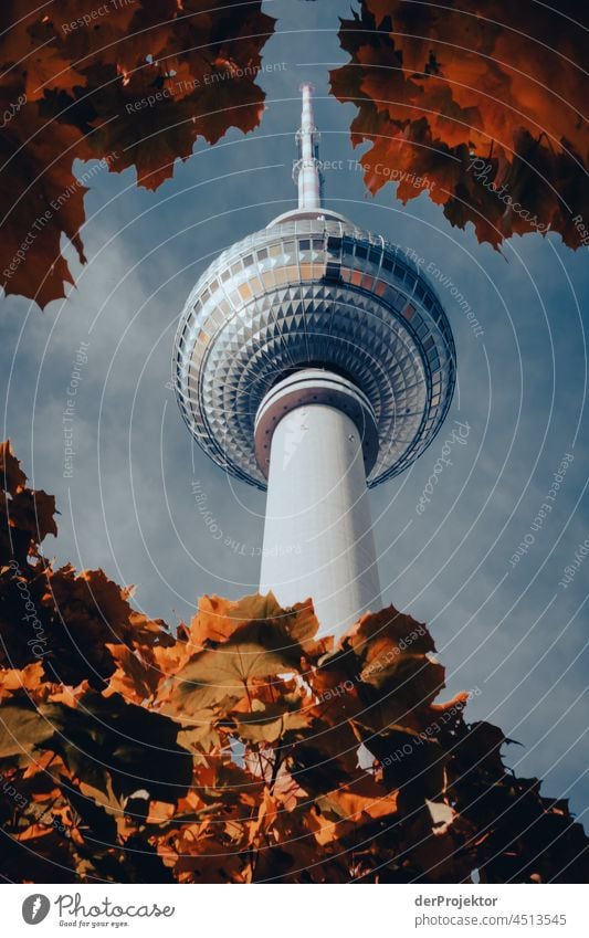 Berlin TV Tower III berlinerwasser theProjector the projectors farys Joerg farys ngo ngo photographer Deep depth of field Contrast Light Day Deserted