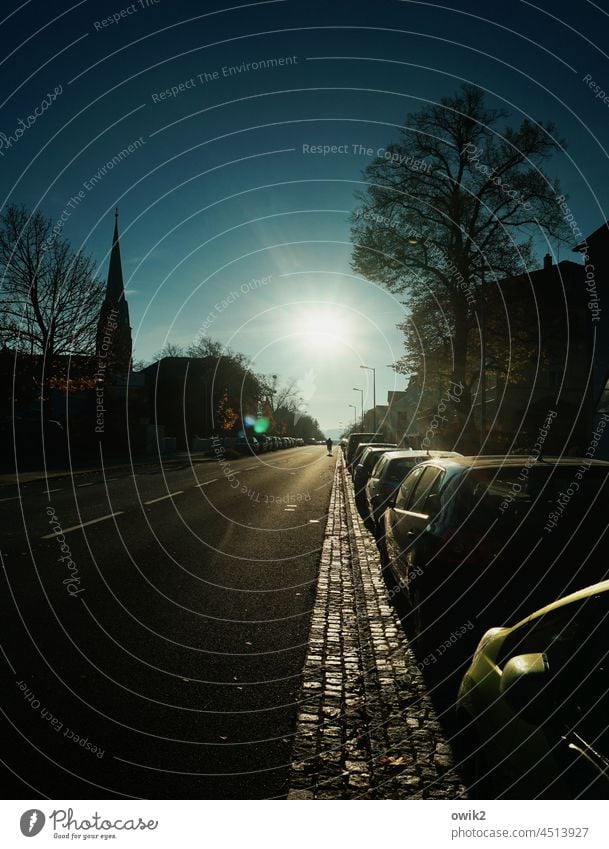 Goal-oriented Street Traffic infrastructure Avenue Pavement Shadow Central perspective urban life car Back-light Transport cyclists Sunlight Cycling Driving