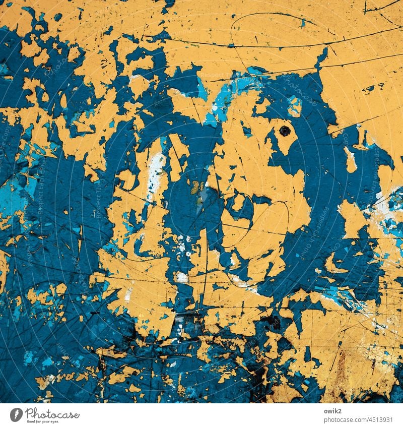 Wild Surface structure Abrasion Art Part Damage Abstract Tracks Derelict Ravages of time Destruction Decline Shabby Colour photo Trashy Orange Blue Deserted