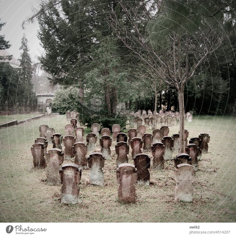 Weathered grave crosses Cemetery Grave Transience cemetery Death Eternity Lanes & trails Detail Colour photo Subdued colour Many Arrangement Long shot Deserted