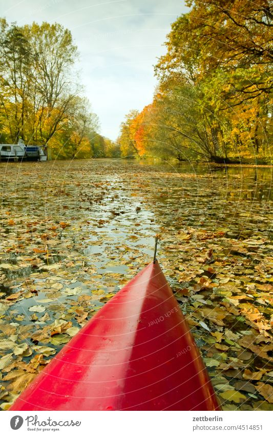 Canoe in autumn Trip boat Relaxation holidays River Autumn Autumn leaves Channel Landscape foliage Foliage colouring Nature Paddle canoe Rowboat ship Navigation