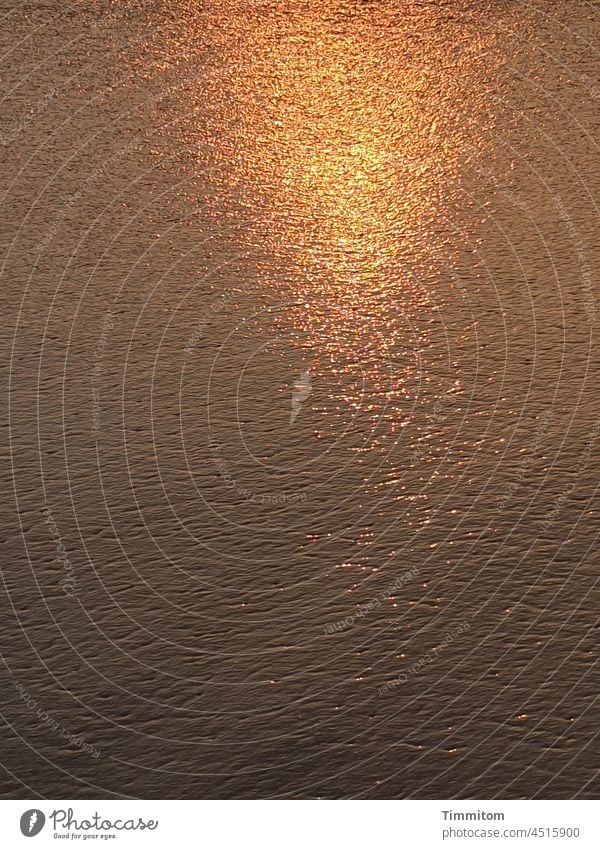 Evening at the North Sea - sunlight on draining water evening light Sunlight Sunset Water sparkle golden Sandy beach Deserted Ocean Beach Vacation & Travel