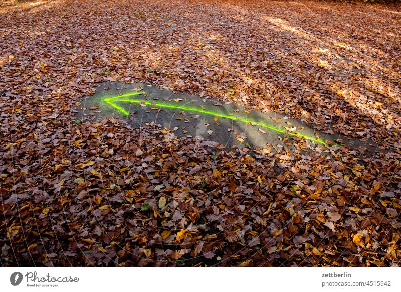 Arrow to the left Turn off Corner Lane markings Bicycle Cycle path Autumn Autumn leaves Clue Curve foliage Foliage colouring Line Left navi Navigation