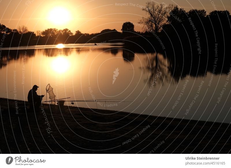 Lonely angler at sunset at Szelid lake in Hungary Angler Sunset Fishing (Angle) Water Lake Fisherman Lakeside Nature Lake Szelid Leisure and hobbies Fishing rod