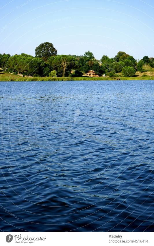 Nature reserve and biotope in summer sunshine at Poyrazlar Gölü near Adapazari in the province of Sakarya in Turkey Lake Body of water Landscape Habitat Wetland