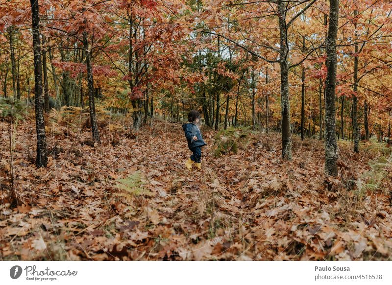 Child exploring forest childhood Girl 3 - 8 years Caucasian explore Forest Leisure and hobbies Multicoloured Exterior shot Nature Life Authentic Infancy