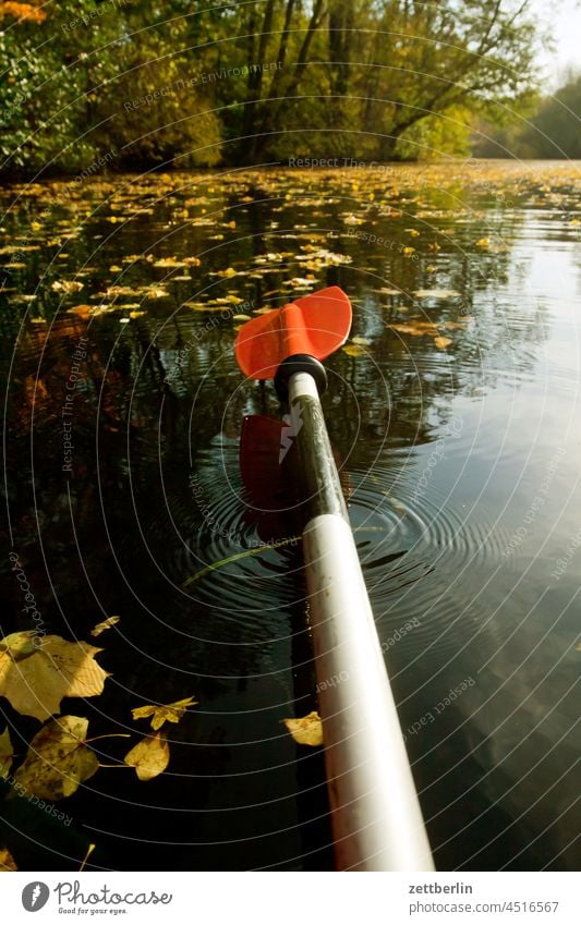 Canoe in autumn Trip boat Relaxation holidays River Autumn Autumn leaves Channel Landscape foliage Foliage colouring Nature Paddle canoe Rowboat ship Navigation