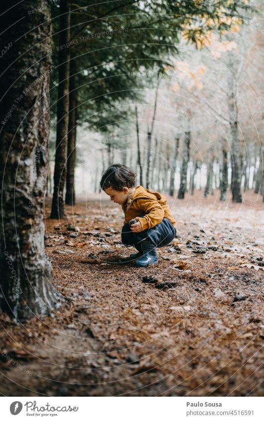 Child exploring the woods Forest Autumn Authentic childhood Autumn leaves Autumnal colours Colour photo Early fall Autumnal landscape Exterior shot Leaf