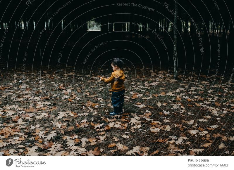 Child picking autumn leaves in the woods Caucasian 1 - 3 years real people Wood Forest Autumn Authentic fall Curiosity Life Happiness Cute Colour photo Happy