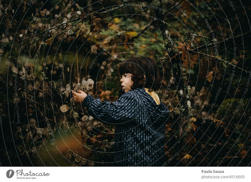 Girl picking dry flowers Child 1 - 3 years Authentic Autumn 3 - 8 years Exterior shot Colour photo Human being Day Nature explore Environment Curiosity Cute