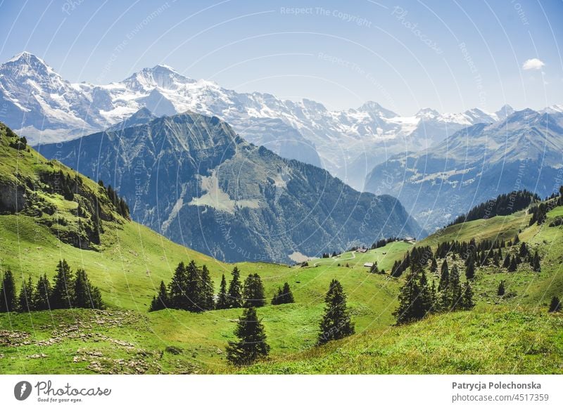 Summer Landscape with Green Fields in the Alps in Switzerland Meadow Nature Peak mountains