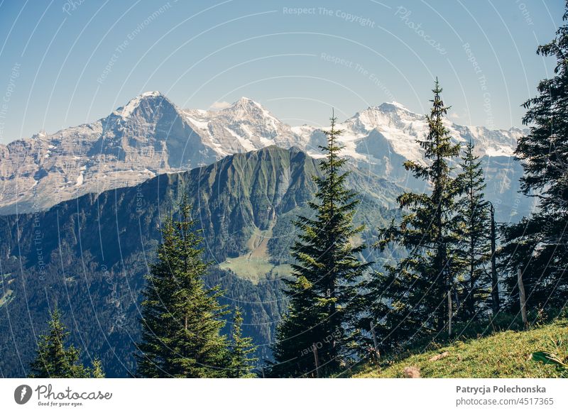 Snow Covered Mountain Peaks in Alps in Switzerland in Summer Landscape mountains Nature