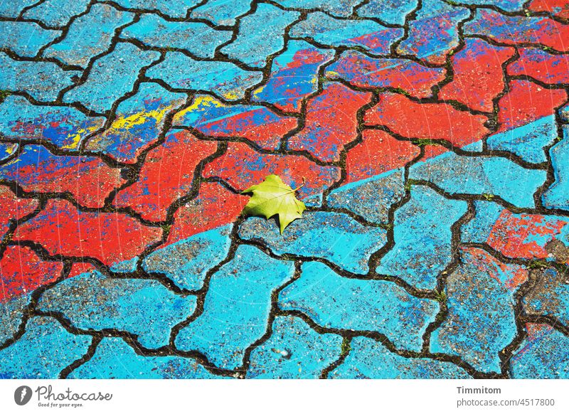 Colorful marking with foliage leaf on paving stones Paving stone variegated Colour Leaflet interstices Flashy Clue Traffic Rules Deserted Exterior shot