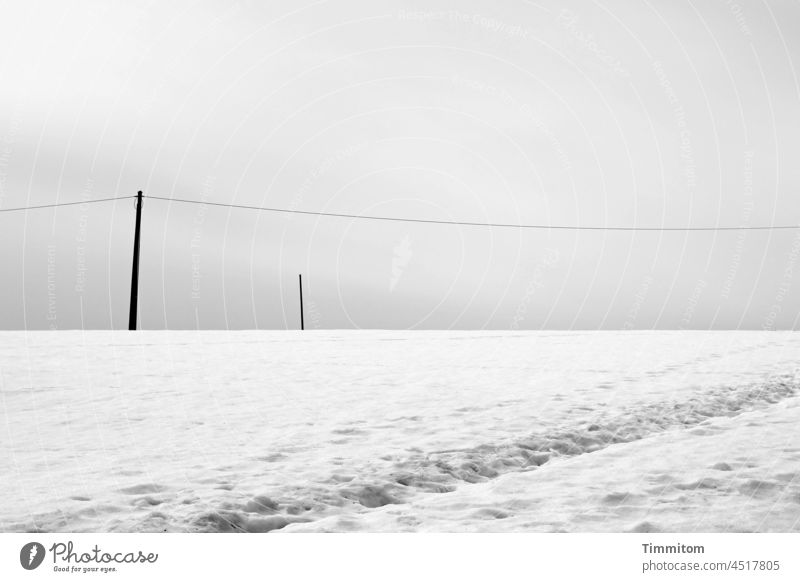 Get well into the winter. Winter Snow Tracks Cold mast Pole Wood Sky Clouds White Deserted Landscape Loneliness power line Black Forest