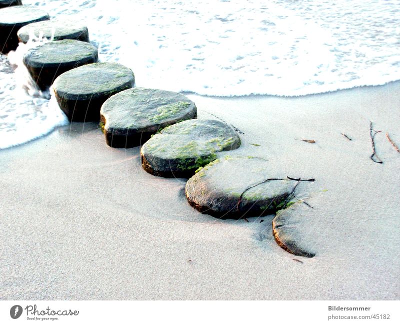 breakwater Break water Beach Wood Sand Water Baltic Sea