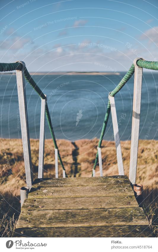 Stairs at the cliff to the Limfjord in Denmark voyage Landscape Nature Fjord North Sea coast Beach Grass Ladder Dew Rope Wood Adventure adventurous steep coast