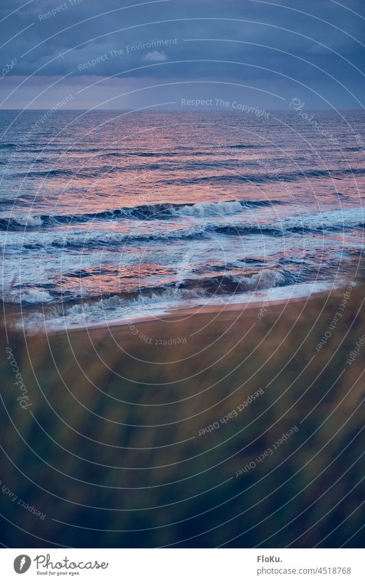 North Sea coast off Denmark seen from the dunes Beach duene Beach dune wave Waves europe out Ocean ocean Evening evening light Sunset Moody Vacation & Travel