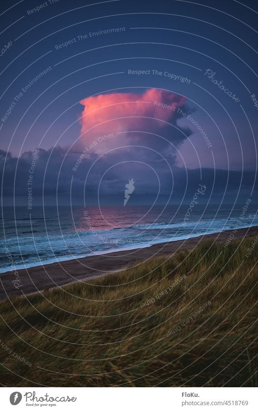 Purple clouds over the Danish North Sea coast Beach duene Beach dune wave Waves Denmark europe out Ocean ocean Evening evening light Sunset Moody