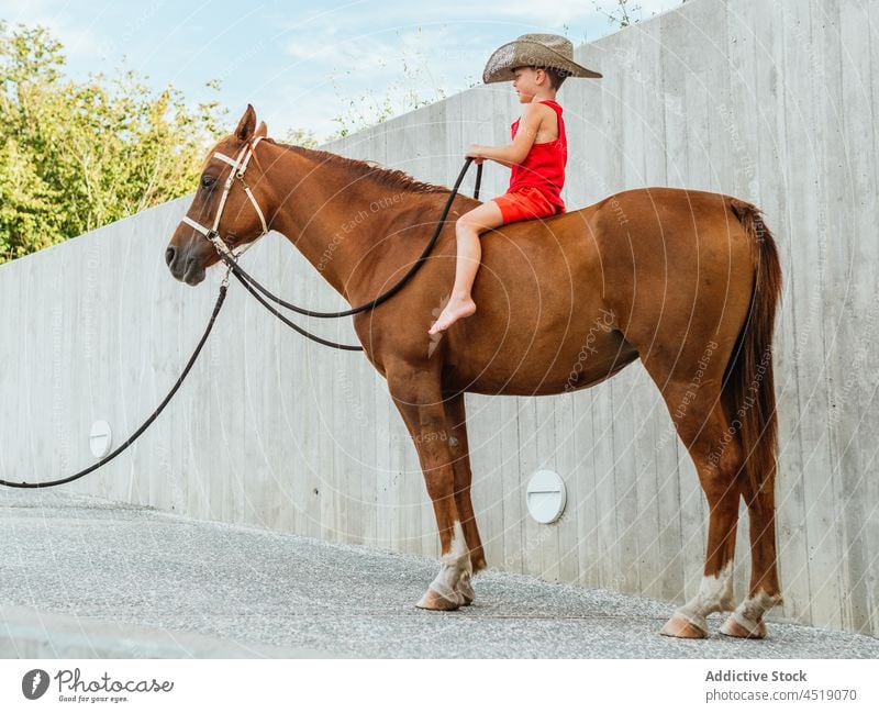 Small boy in cowboy hat sitting on brown horse rider kid harness equine ranch animal headwear equestrian farm child chestnut barefoot livestock childhood mammal