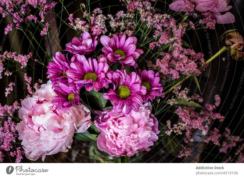 Bouquet of flowers on shabby chair bouquet chrysanthemum peony vase weathered floral plant blossom bloom curtain wooden bunch glass light colorful botany