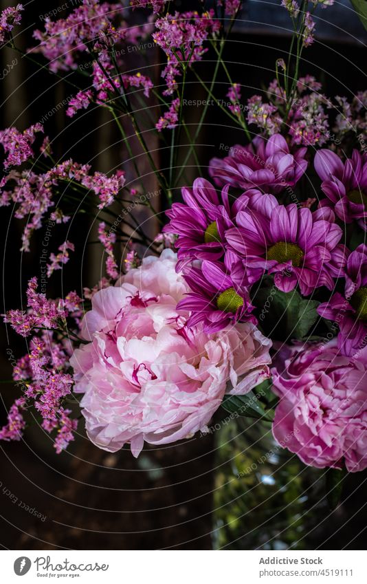 Bouquet of flowers on shabby chair bouquet chrysanthemum peony vase weathered floral plant blossom bloom curtain wooden bunch glass light colorful botany