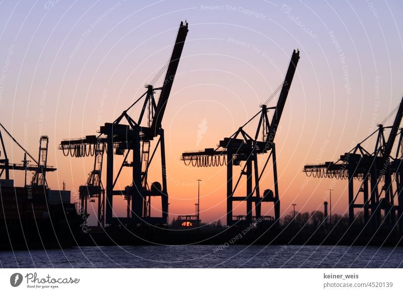 Harbour cranes in the sunset in the harbour of Hamburg Dockside crane Sunset cargo port Port City ship Unload shilouette loading Cargo Navigation Transport pier