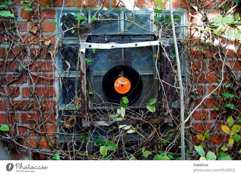 Lost Place - Artwork. A record in front of a thick glass window is framed by metal, brick and climbing plants. Record lost place lost places forsake sb./sth.