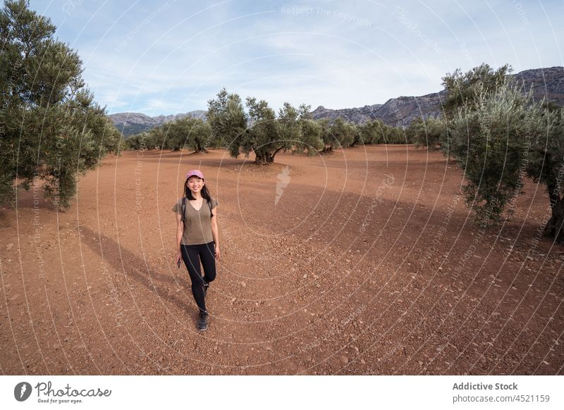 Asian woman near olive trees grove plantation countryside farmland cultivate agriculture field summer green female cap digital lady terrain area grow asian