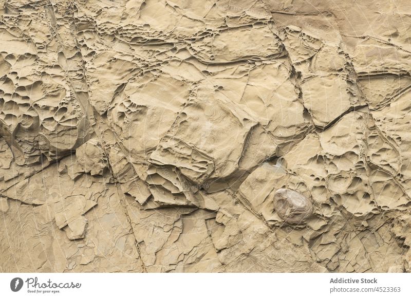 Sandstone and Concretion Oregon Oregon coast Shore Acres State Park abstract brown concretion detail erosion formation geologic geology horizontal natural