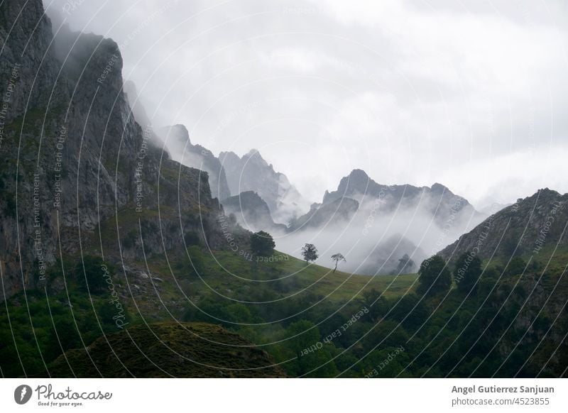 View of a beautiful natural landscape of mountains with mist. nature scenery foggy asturias spain route park hill scenic clouds adventure rural scene