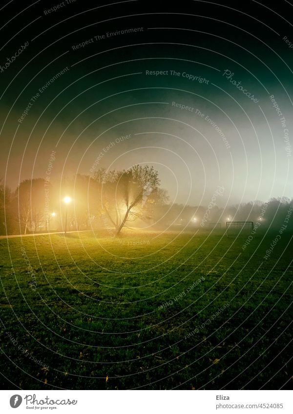 A park in the foggy darkness of night Park Fog Night Tree Meadow Eerie streetlamp out Mystic Creepy Mysterious Dark Deserted