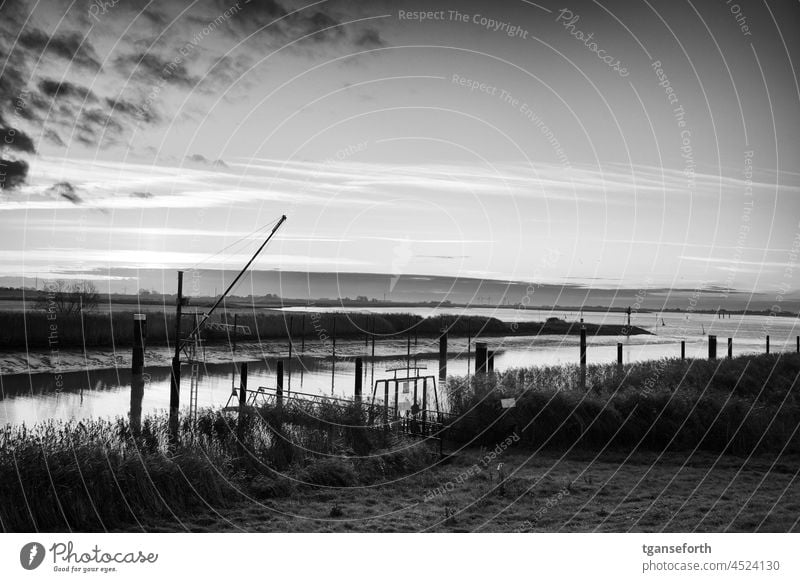 In the morning at the Ems in Oldersum East Frisland Harbour marina Empty Low tide siel Vacation & Travel Exterior shot Landscape Morning Dawn Sunrise Calm