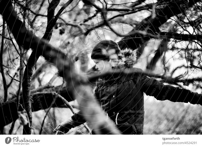 Child playing in a tree in autumn Playing Tree out being out play outdoors Tree trunk branches Infancy Nature Joy Exterior shot Girl Movement fun Human being