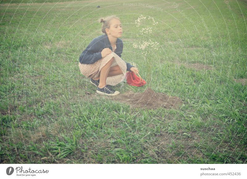 plant a flower tree Feminine Girl Infancy Body Skin Head Face 1 Human being 8 - 13 years Child Environment Summer Tree Flower Grass Garden Park Meadow Field