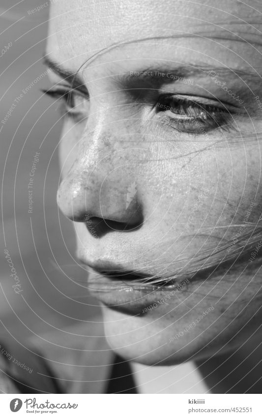 wind Black White Girl Woman Hair and hairstyles Blow Wind Looking Freckles Think Meditative Left Shallow depth of field Close-up Exterior shot Sun Sadness Side