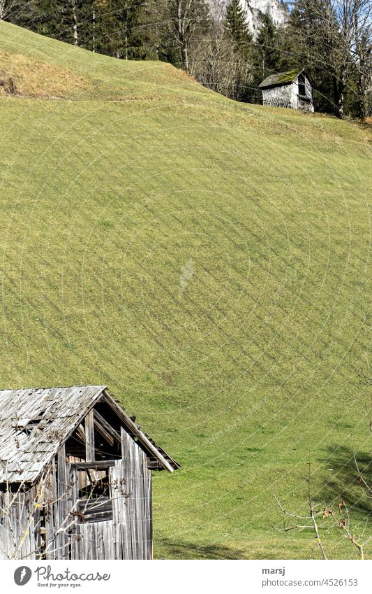 With a lot of distance, it is quite lonely. Broke up in a quarrel? Loneliness Old Hut Cliche idyllically Idyll Contrast Wood Meadow hay barnyard Autumn