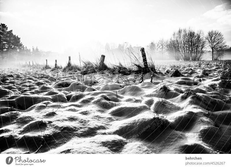 snowy mountains Shadow Gorgeous Dream Black & white photo Fog Mysterious pretty Dreamily Snow layer Snowscape Home country Winter mood Winter's day Winter walk