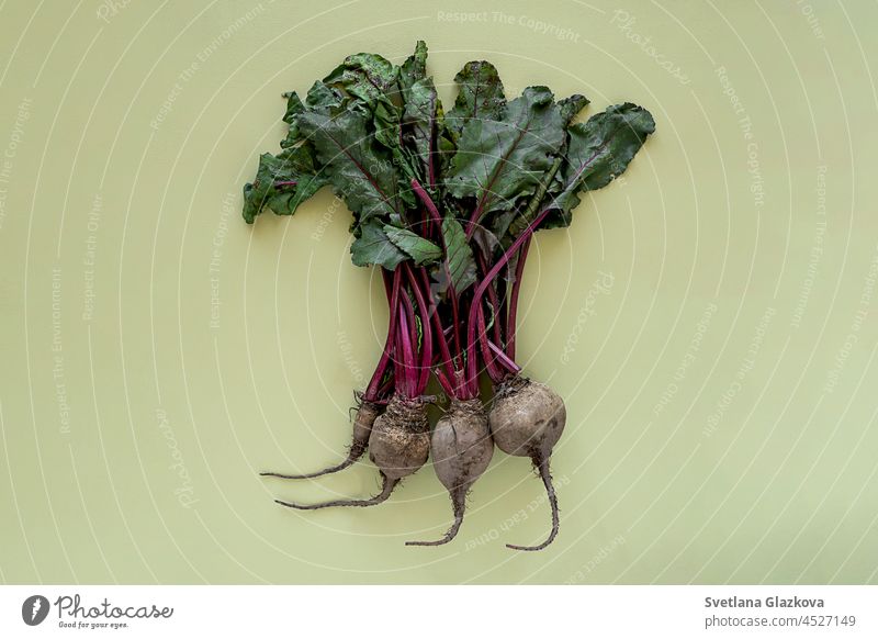 Food from above top view Eco-friendly farm products organic vegetables in mesh bags Flat lay fresh Salad beets carrots tomat cucumbers peppers lettuce food