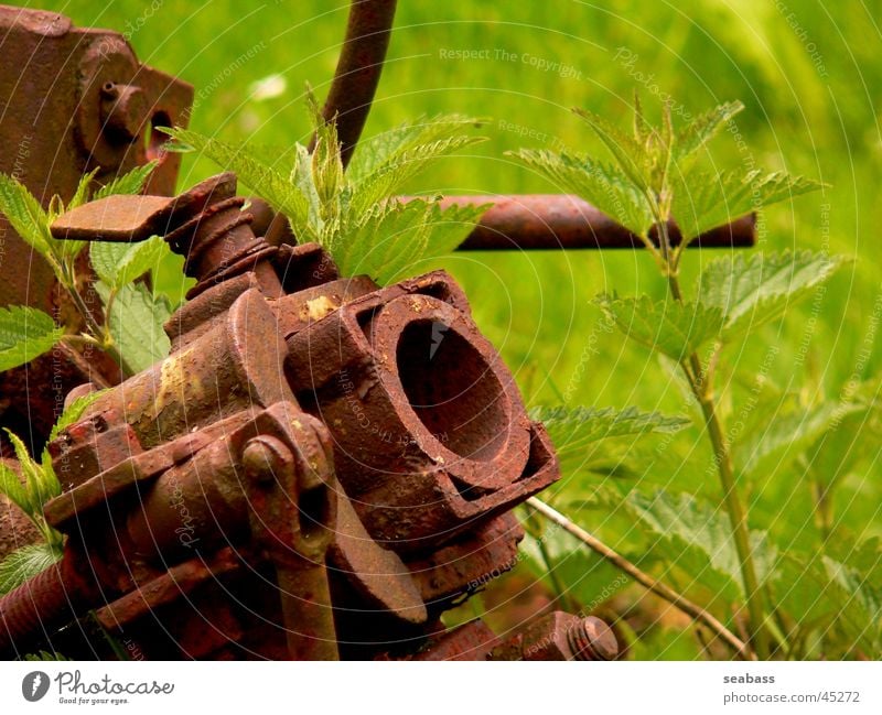 scrap plant Electrical equipment Technology Scrap metal Rust Agriculture Nature Trash