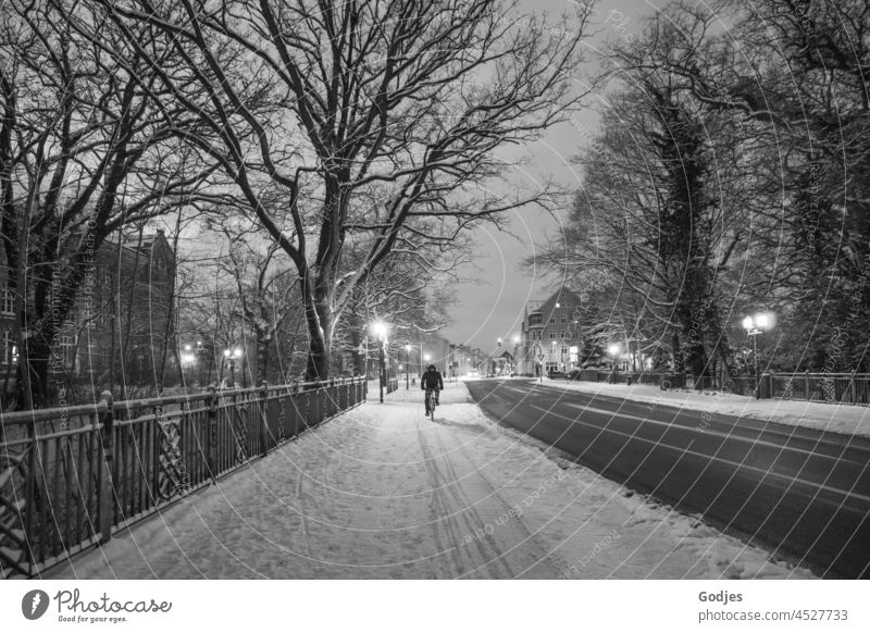 Cyclist on snow-covered cycle path on a cleared road Bicycle Winter Snow somber street lamps Cold White Town Greifswald Exterior shot Gray Deserted Day Forest