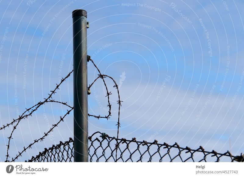 Fence post with chain link fence and tangled barbed wire against blue sky Wire netting Wire netting fence Barbed wire Broken mazy Muddled corrupted Metal Sky