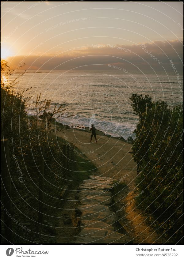 Surfer at The Beach. Near Biarritz, France. Sunlight Filmlook Spreebogen Tourism Downtown Landmark Twilight Light warm Federal elections Federal election 2021