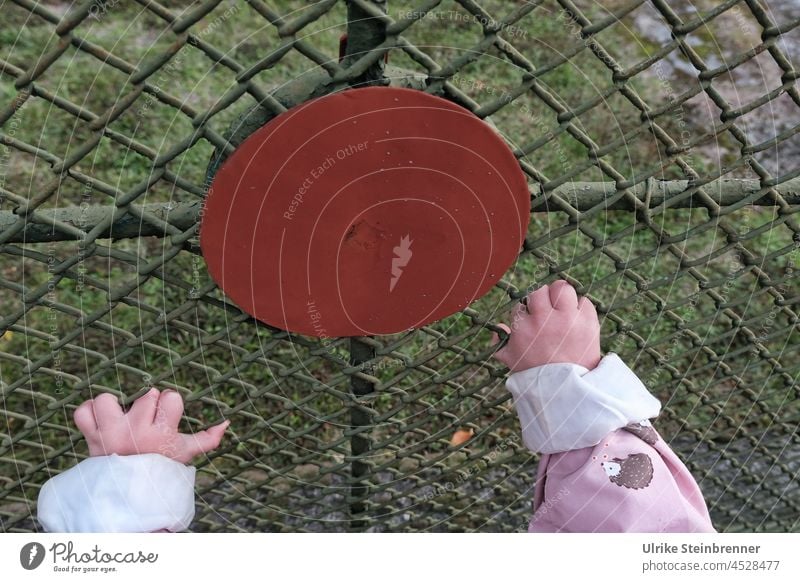 Push the Buzzer - Children's hands want to reach red dot on the fence children's hands buzzer Red Point Decoration Fence Grating Grasp Circle clip Garden door