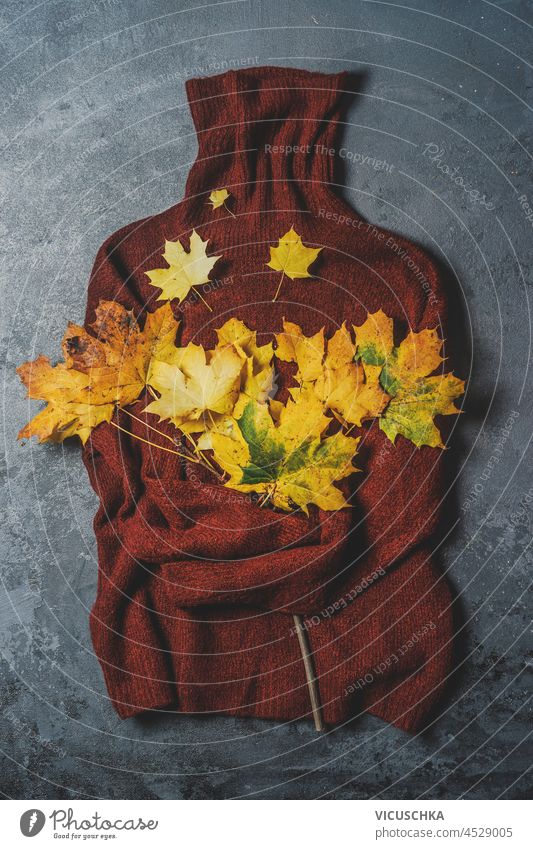 Brown wool turtleneck sweater with yellow autumn leaves on dark background. Autumn fashion concept with warm clothes and fall decoration. Top view. brown