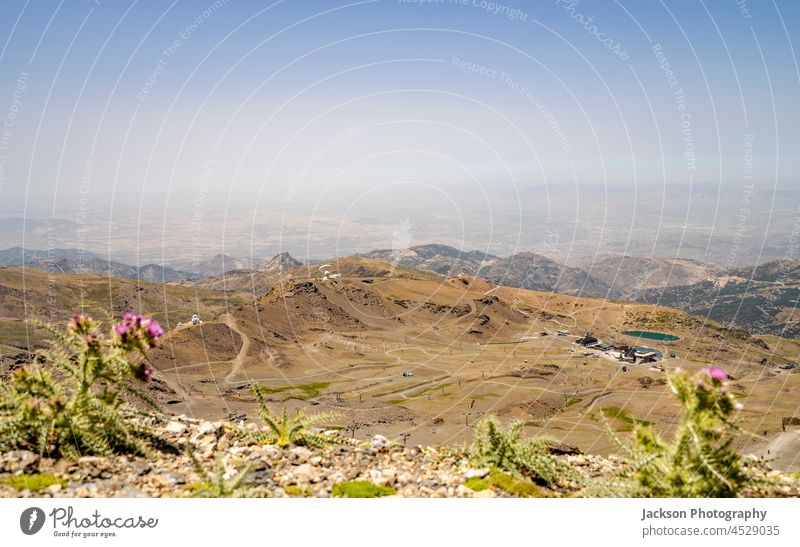 The landscape of Sierra Nevada National Park with purple flowers in the foreground, Andalusia, Spain mountains sierra nevada spain flora national park close up