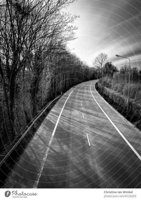 Empty street with long shadows of trees and bushes Street empty street Shadow Bushes streetlamp Median strip Curve sunshine Black & white photo black-and-white