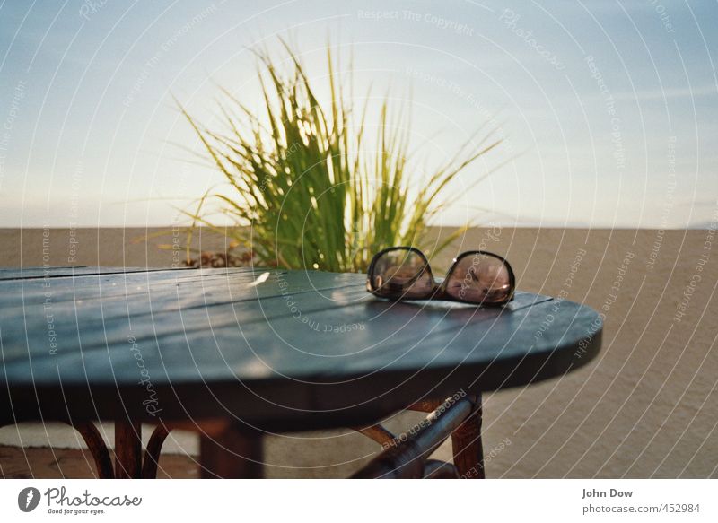 Summer light II Vacation & Travel Summer vacation Sky Sunlight Plant Grass Bushes Longing Wanderlust Mysterious Curiosity Summery Summer's day Sunglasses Table